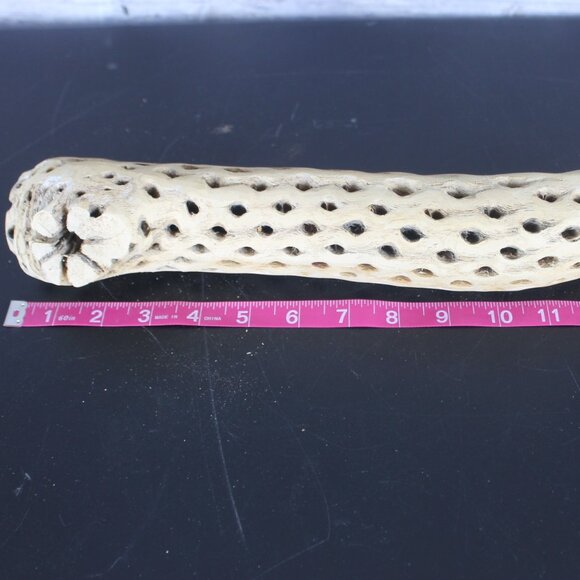 Cholla Wood Cactus Skeleton Aquarium Terrarium Decoration Clean  13" L 2" W - Picture 2 of 10